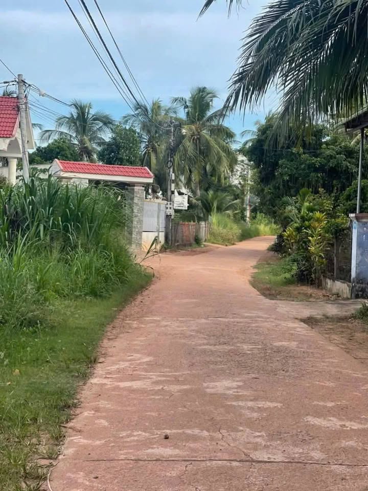 Đất nền chính chủ tại đường Nguyễn Công Trứ, Hoài Thanh - Diện tích 190.89m² giá 800 triệu