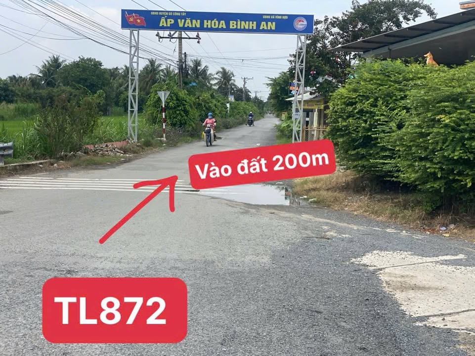 Bán đất thổ cư 125m² tại Vĩnh Hựu, Gò Công Tây - Vị trí đẹp, giá chỉ 300 triệu!