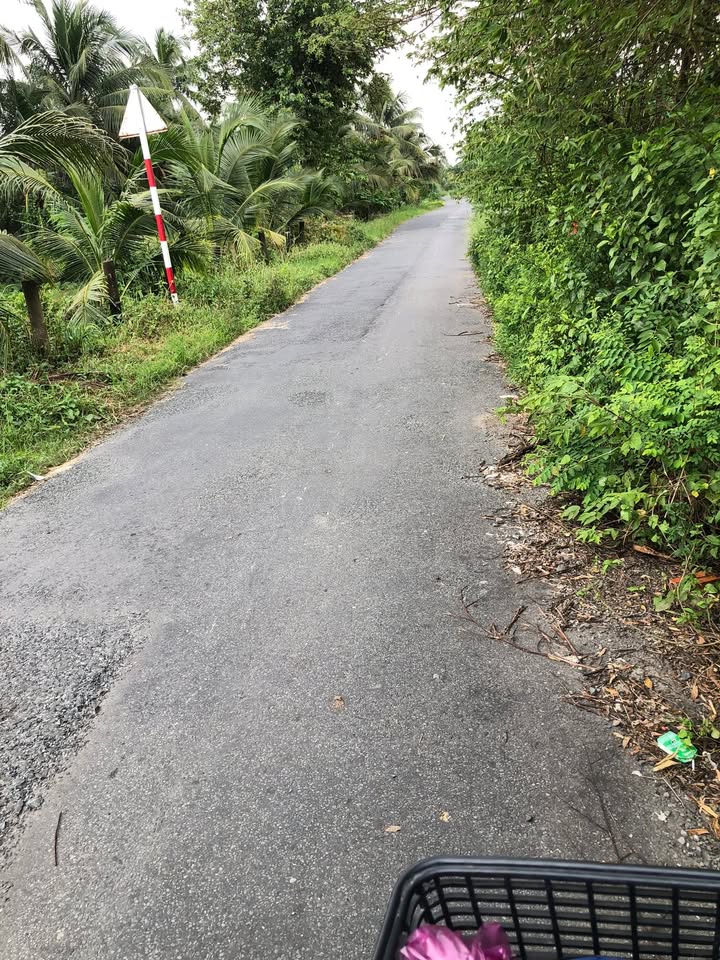 Đất nền mặt tiền nhựa 1000m² tại xã Song Bình, Chợ Gạo - Giá chỉ 1.1 tỷ thương lượng!