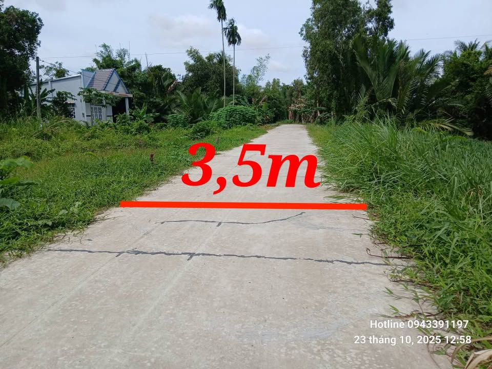 Đất thổ cư ấp Xà Xiêm, Bình An 338m² giá 450 triệu - Cơ hội đầu tư tuyệt vời!