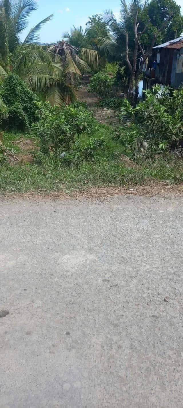 Đất thổ cư xã Tân Mỹ, huyện Thanh Bình 188m² giá 250 triệu - Mặt sông thoáng đãng!