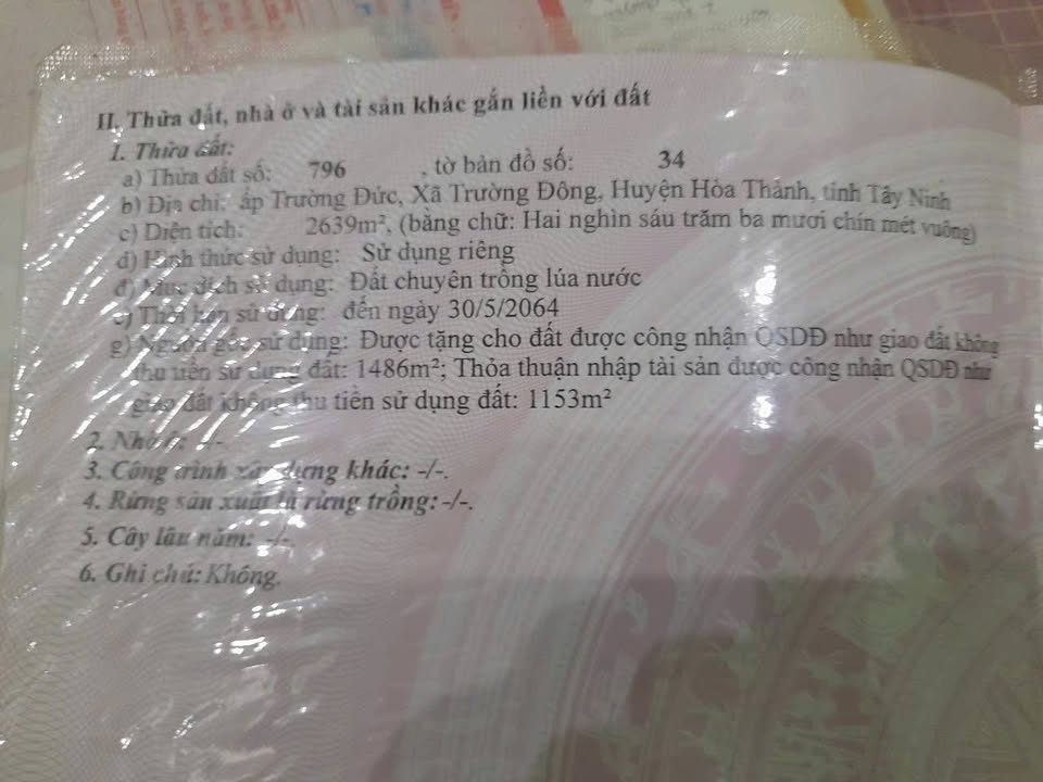 Đất nền Trường Đông, Hòa Thành 50.000m² giá chỉ 300 triệu - Đầu tư sinh lời ngay!