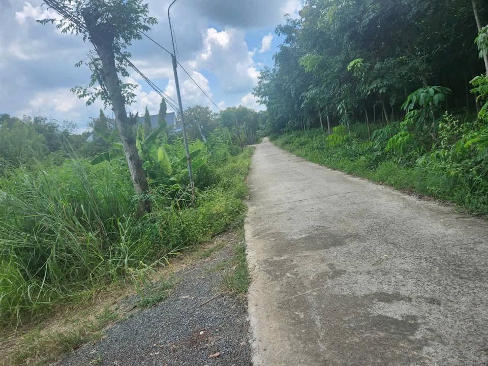 Đất nền Hớn Quản 1000m² giá 300 triệu - Mặt tiền 20m, đầu tư sinh lời!