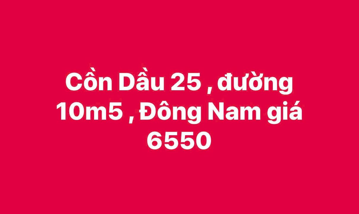 Đất nền đường Cồn Dầu 25, Đà Nẵng 100m² - Giá thỏa thuận hấp dẫn!