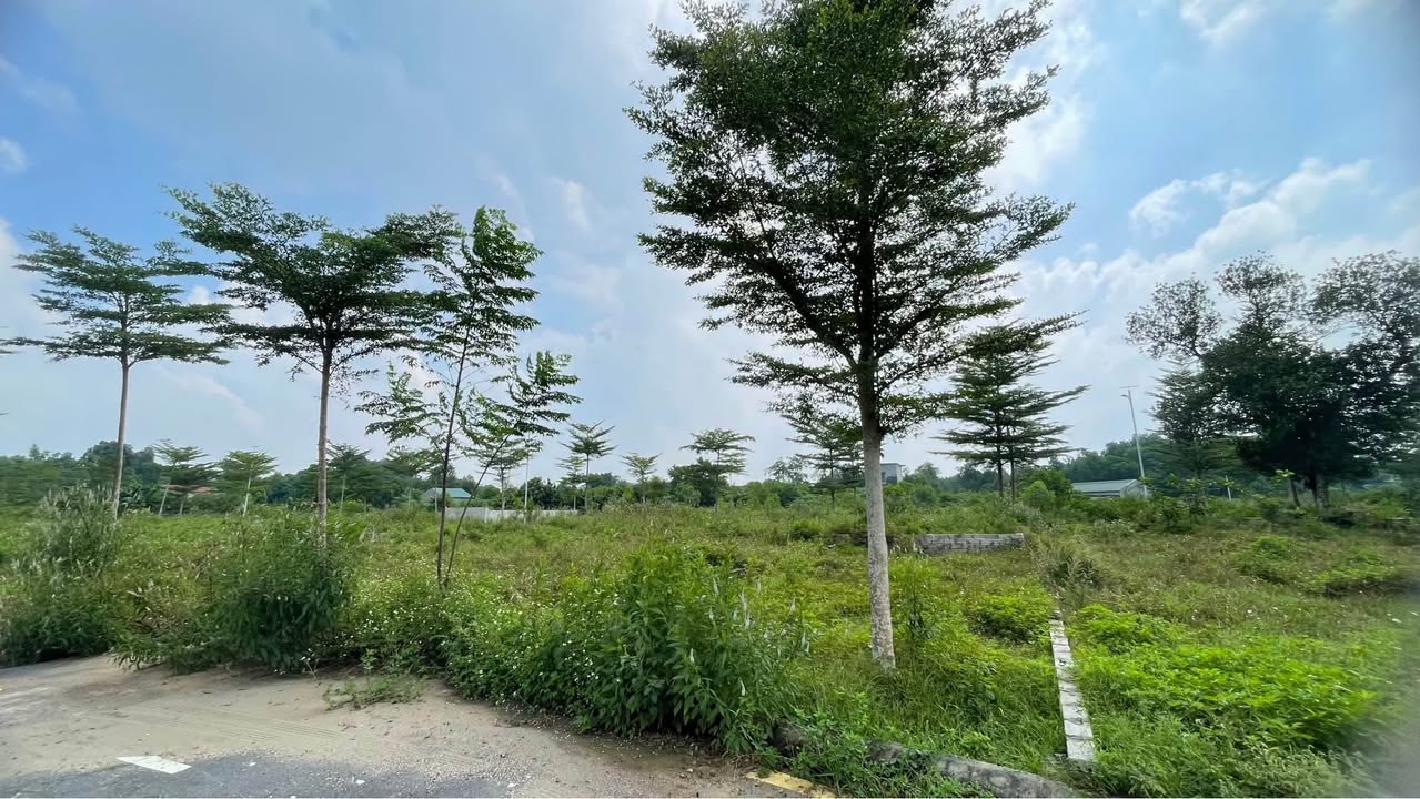 Đất thổ cư Trại Láng 60m² giá 2.2 tỷ - Chính chủ bán gấp, giá tốt hơn thị trường!