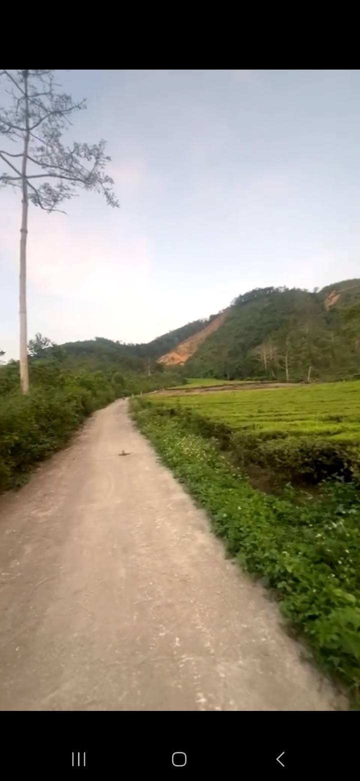 Đất nền Ngọc Đồng Thanh Sơn 1125m² giá chỉ 600 triệu - Sổ đỏ chính chủ!