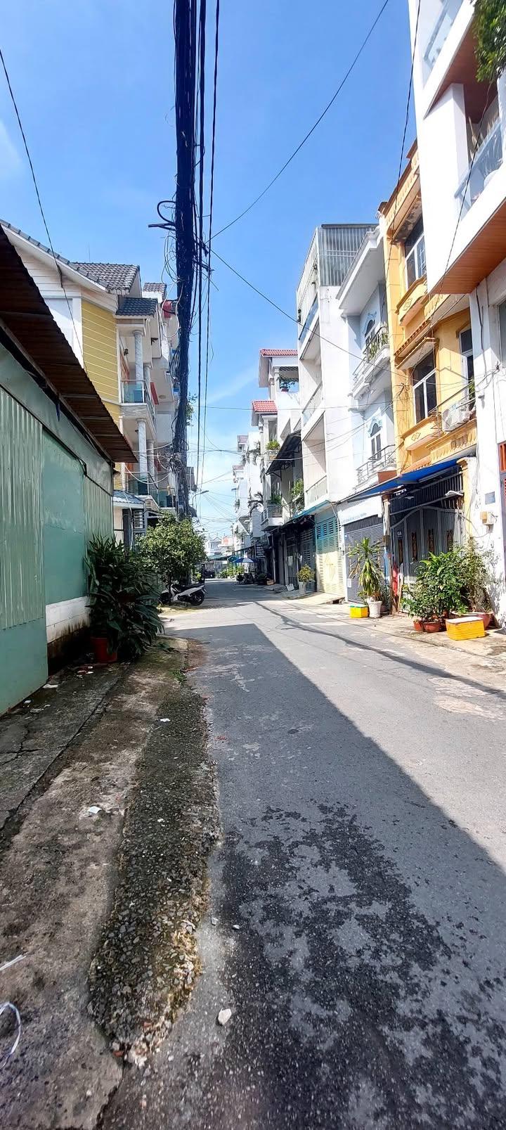 Nhà bán hẻm xe hơi Hoàng Bật Đạt, Tân Bình 44m² giá 6.2 tỷ - Vị trí đẹp, tiềm năng tăng giá!