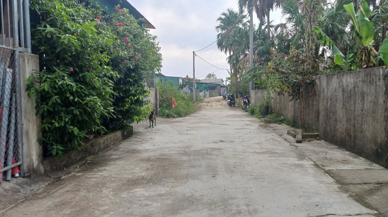 Đất thổ cư Thạch Hà 130m² giá 1.4 tỷ - Gần đường Nguyễn Xí!