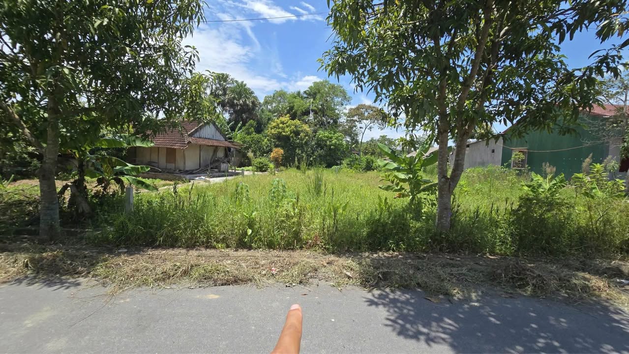 Đất Thổ Cư Thôn Tiến Bộ, Tân Lâm Hương 312.9m² giá 2.1 tỷ - Đường nhựa ô tô vào tận nơi!