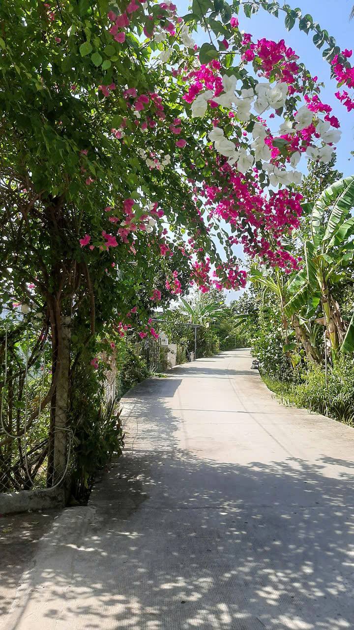 Farm Thường Thạnh Cái Răng 641m² giá 2.7 tỷ - Siêu phẩm nghỉ dưỡng gần sông!