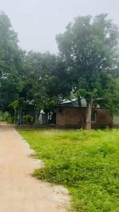 Đất nền Lao Bảo Hướng Hóa 350m² giá 290 triệu - Cơ hội đầu tư tuyệt vời!