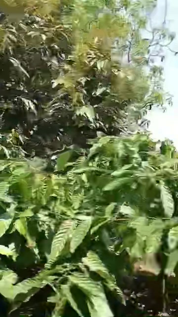 Đất thổ cư Phú Xuân 700m² giá 1.1 tỷ - Chính chủ bán gấp!