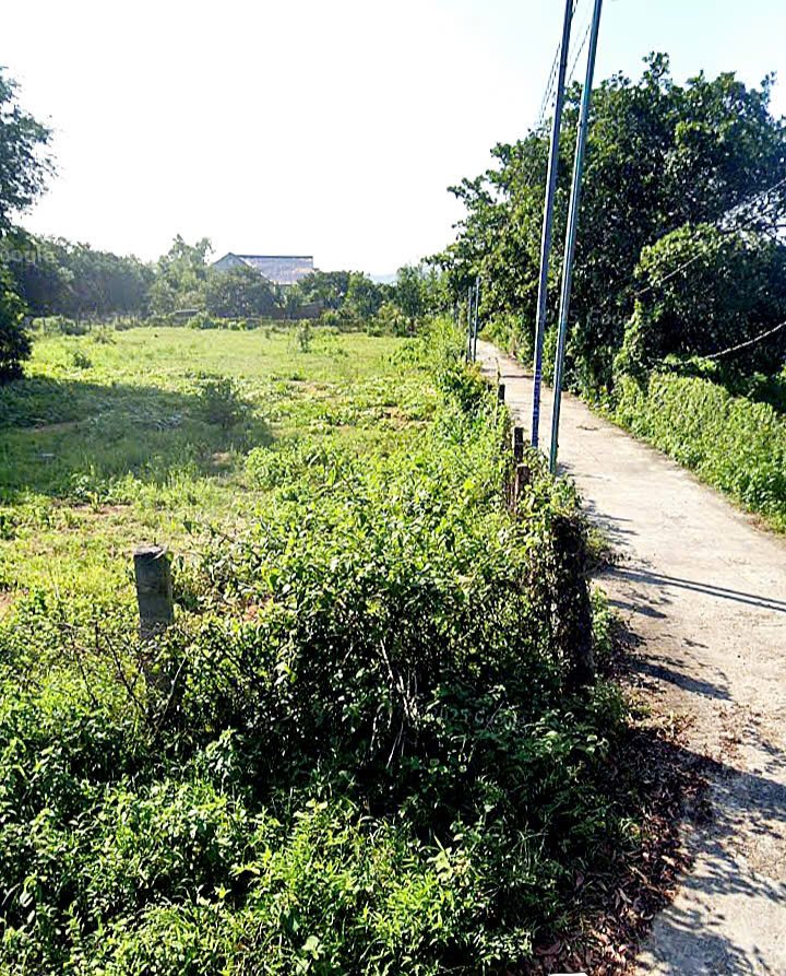 Đất Mũi Né 1100m² giá 1.x tỷ - Vị trí đẹp, thuận tiện giao thông!