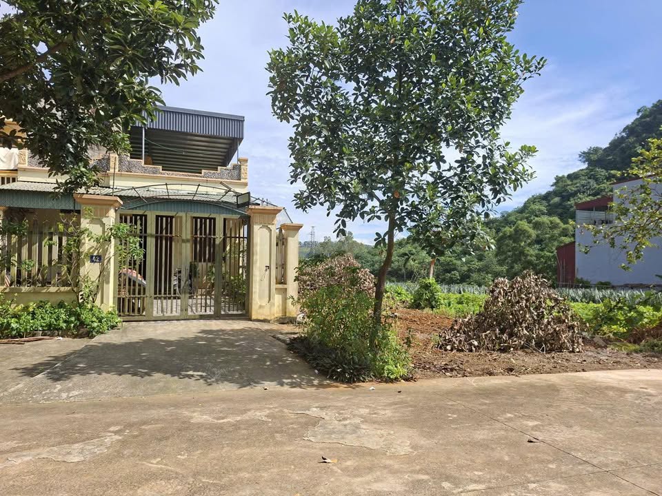 Đất nền Tam Điệp 150m² giá 3xx triệu - Lô VIP Hướng Nam, sẵn sàng đầu tư!