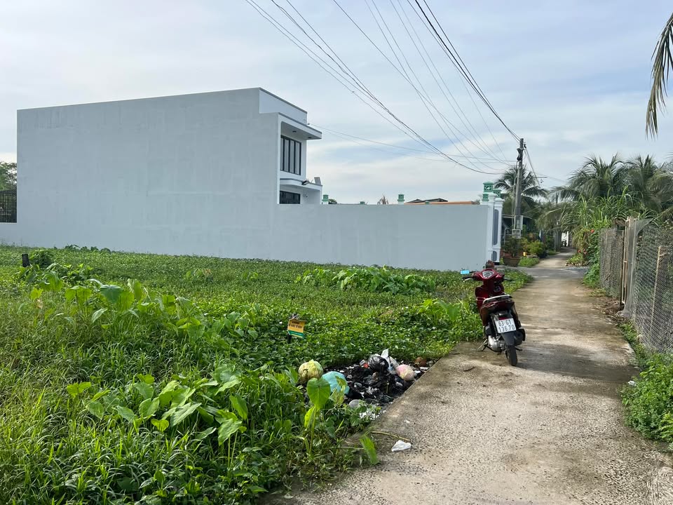 Bán đất thổ cư xã Phú Kiết, Chợ Gạo, 300m² - Giá chỉ 690 triệu!