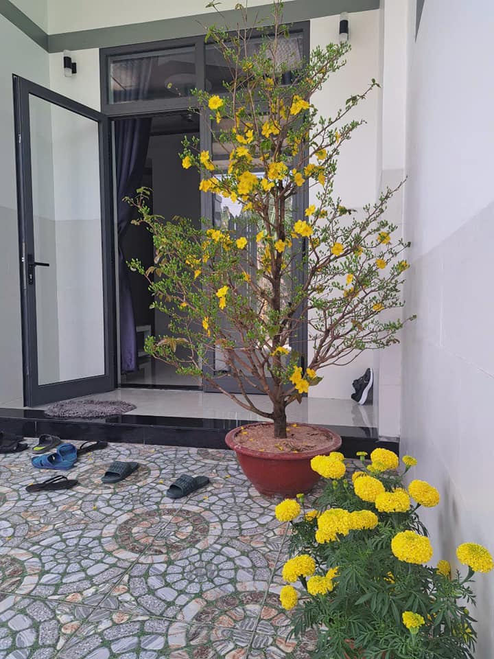 Nhà đẹp Hòa Long, Bà Rịa - Vũng Tàu 290m² giá 2 tỷ - Mặt tiền trước sau thoáng rộng!