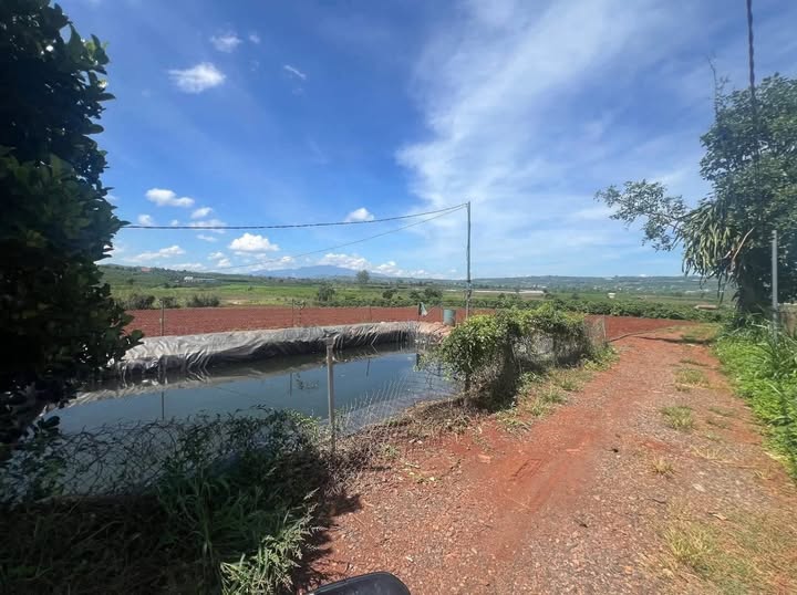 Đất nền Tân Hội Lâm Đồng 5800m² giá 1.242 tỷ - Cơ hội đầu tư hiếm có!