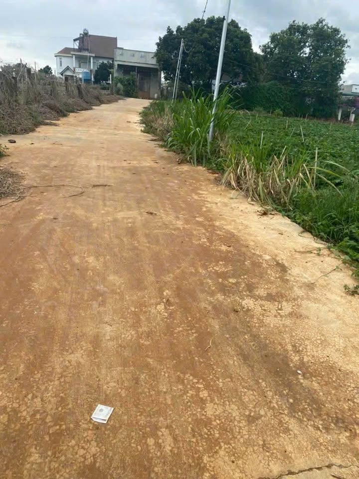 Đất thổ cư Phú Hội, Đức Trọng 150m² giá 1 tỷ - Cơ hội đầu tư không thể bỏ qua!