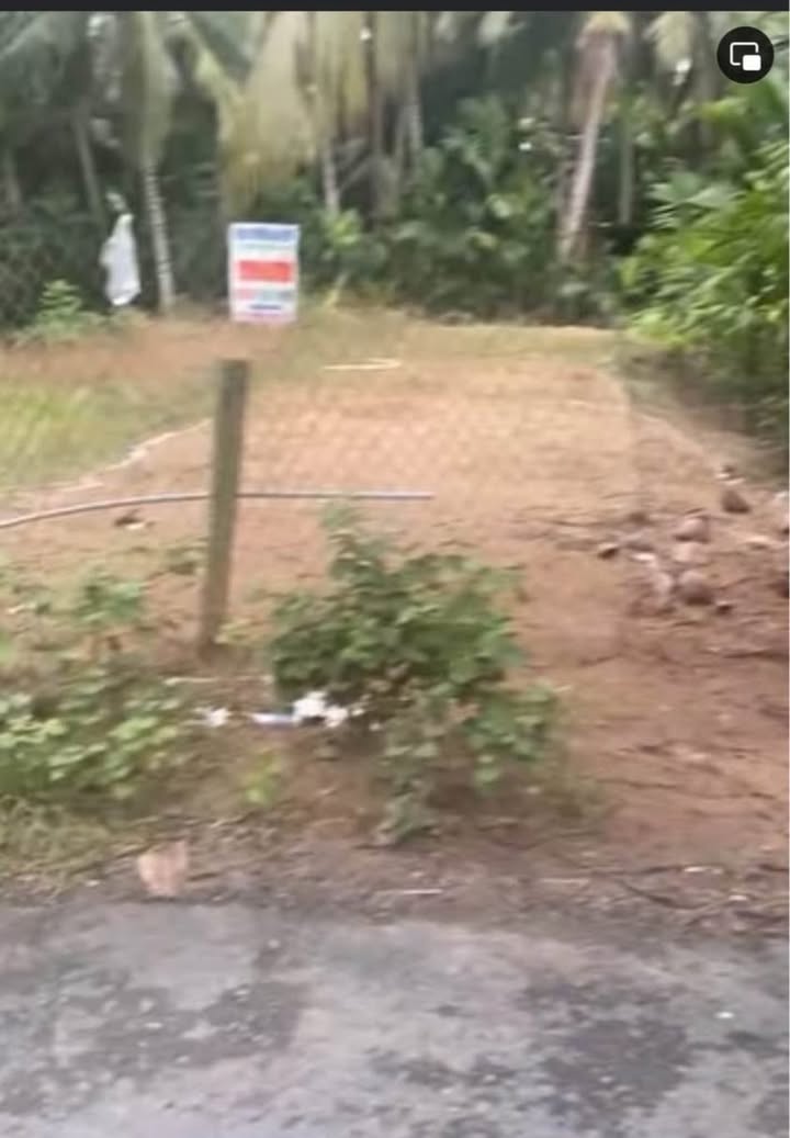 Đất nền mặt tiền đường nhựa 5 tấn xã Hựu Thành 141m² giá 440 triệu - Sổ hồng công chứng ngay!