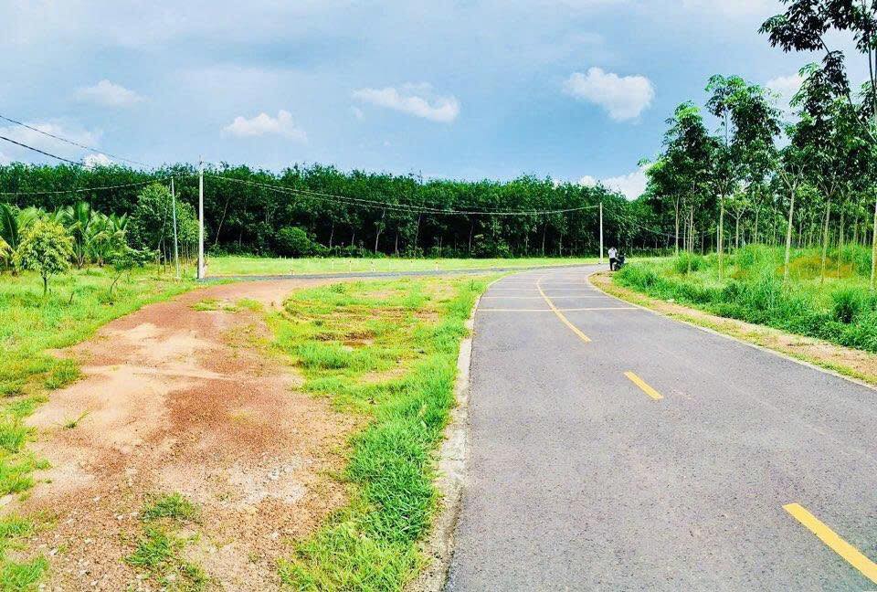 Đất nền Minh Thạnh, Dầu Tiếng, Bình Dương 200m² - Giá chỉ 250 triệu!