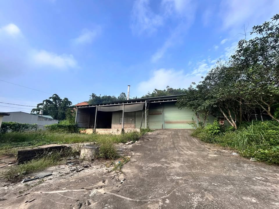 Nhà xưởng Yên Bình 2000m² giá thỏa thuận - Mặt tiền 46m thuận lợi cho kinh doanh!