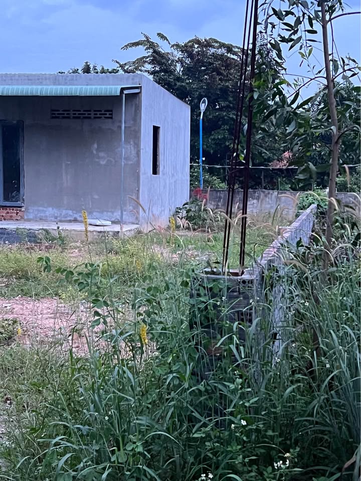 Đất nền 250m² tại phường Tân Phong, Biên Hòa - Giá 1.25 tỷ, phù hợp kinh doanh!