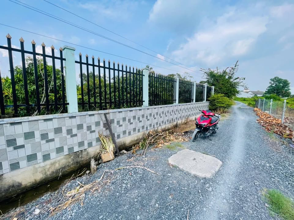 Đất nền Tân Quý Tây, Bình Chánh 1567m² giá 24 tỷ - Cơ hội đầu tư hấp dẫn!