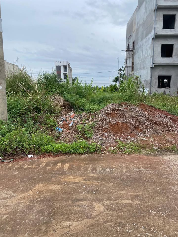 Đất nền Ruồng Cái, xã Đào Mỹ, 99m² giá 1.3 tỷ - Cơ hội đầu tư hấp dẫn!