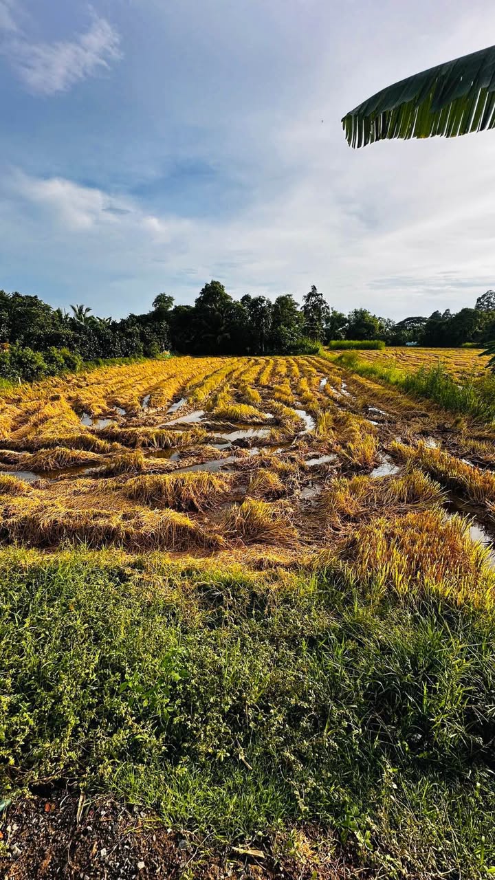 Đất nền 300m² đường Điện Biên Phủ, xã Ba Sao - Cơ hội đầu tư sinh lời hấp dẫn!