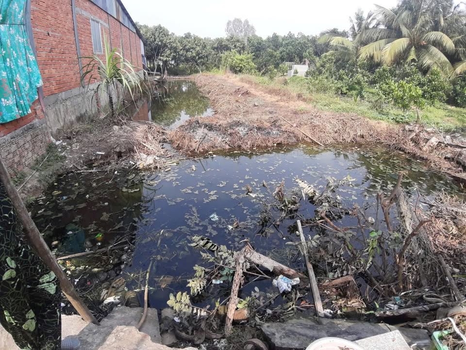 Đất nền thổ cư xã Phương Trà, huyện Cao Lãnh 315m² giá 690 triệu - Đầu tư sinh lời ngay!