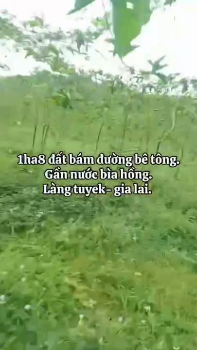 Đất nền 1.8ha tại Đăk Tơ Ver, Chư Păh - Giá chỉ 1.3 tỷ - Cơ hội đầu tư hấp dẫn!