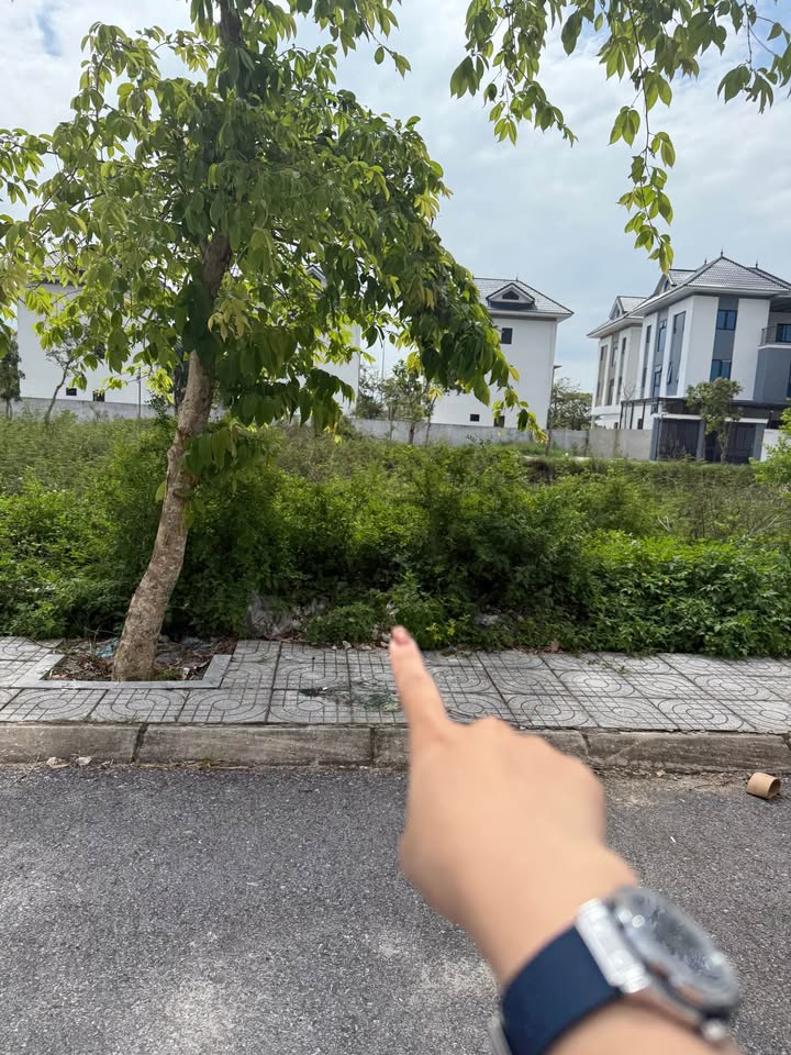 Đất Biệt thự Handico Vinh Tân 213m² giá 8.52 tỷ - Cơ hội đầu tư hấp dẫn!