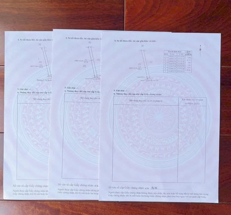 Đất nền phường Đạt Hiếu, Buôn Hồ 325m² - Đầu tư sinh lời ngay!