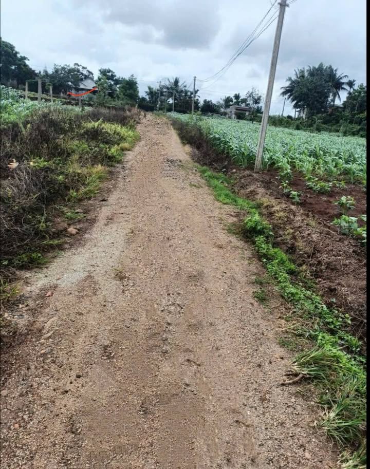 Bán đất 2 mặt tiền xã Ea Drong, Buôn Hồ, Đắk Lắk - 1,7 sào, giá 899 triệu