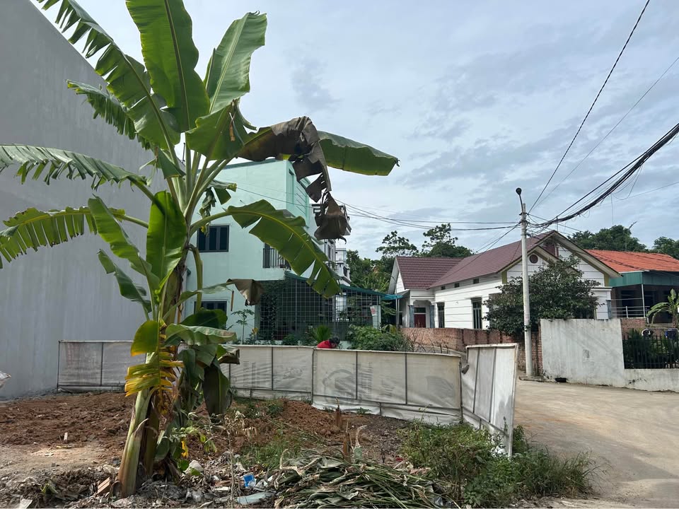 Đất nền Khu Liên Minh, Minh Phương, Việt Trì 84.2m² - Vị trí đắc địa, giá tốt!