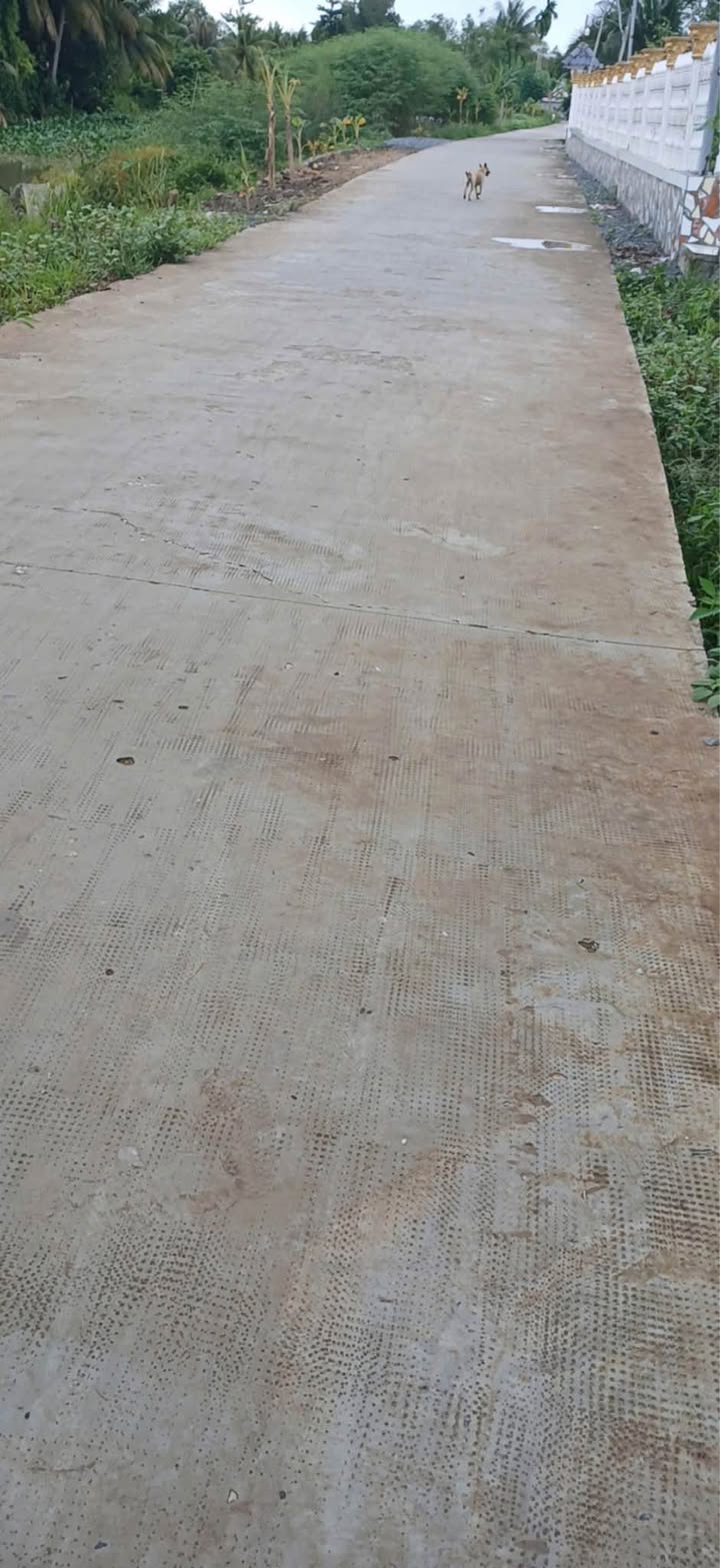 Đất nghỉ dưỡng 2567m² Tân Phú, Cái Răng chỉ 1.6 tỷ - Cơ hội đầu tư tuyệt vời!