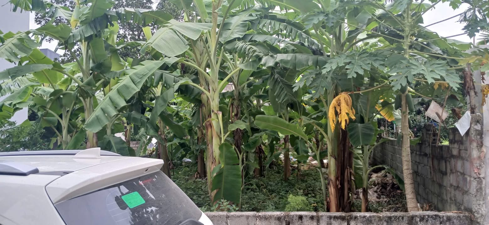 Đất thổ cư tại xã Hợp Thanh, Mỹ Đức, Hà Nội 126.8m² giá 1.268 tỷ - Cơ hội đầu tư tuyệt vời!