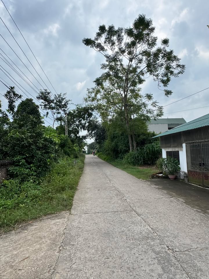 Đất thổ cư 219m² Nghĩa Phương Lục Nam - Mặt đường chuẩn bị mở rộng!