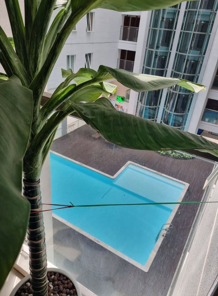 Căn hộ 3 phòng ngủ tại The Morning Star, Bình Thạnh, 102m² giá 6 tỷ - Sổ hồng chính chủ!