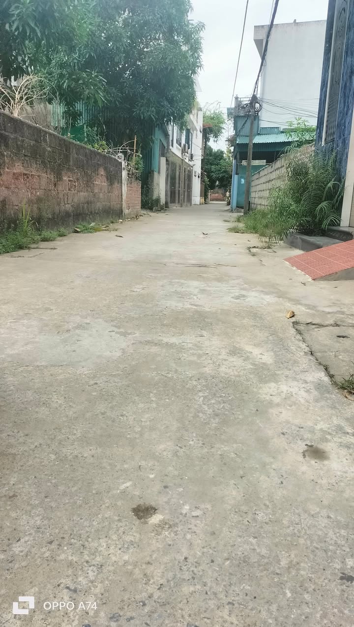 Đất nền Phú Xuân Thái Bình 60m² giá 1.1 tỷ - Lô góc ô tô thông thoáng!