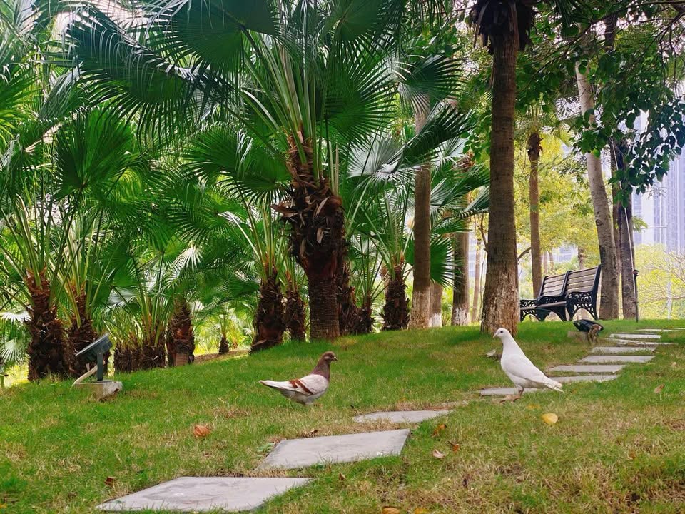 Đất thổ cư 634m² tại Vũ Đoài, Vũ Thư - Mặt tiền rộng, tiềm năng kinh doanh lớn!