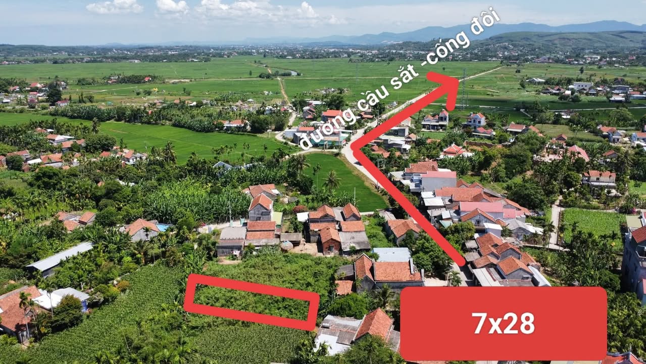 Đất nền Thôn 5, xã Long Phụng, huyện Đức Phổ, 196m² chỉ 400 triệu - Đầu tư sinh lời ngay!