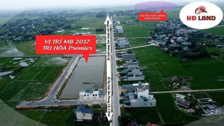 Đất nền Tân Phong 125m² giá thỏa thuận - Tiện ích đầy đủ, hướng Nam!