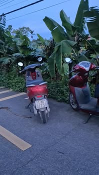 Đất thổ cư 114m² tại Khánh Thủy - Giá chỉ 700 triệu, vị trí đẹp thuận tiện!