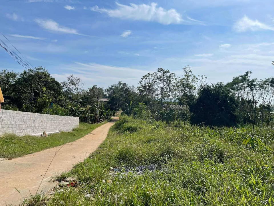 Đất nền 3700m² tại xã Yên Lạc, huyện Như Thanh - Giá chỉ 800 triệu VND