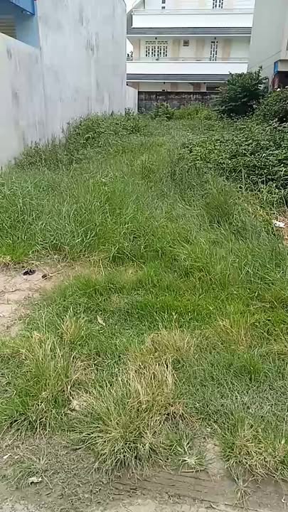 Đất thổ cư 256m² đường Lê Thị Hoa, Củ Chi chỉ 4.3 tỷ - Cơ hội đầu tư tuyệt vời!