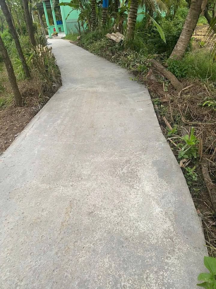 Đất 500m² Ấp Hòa Bình, Gò Công Đông giá chỉ 340 triệu - Đầu tư sinh lời ngay!