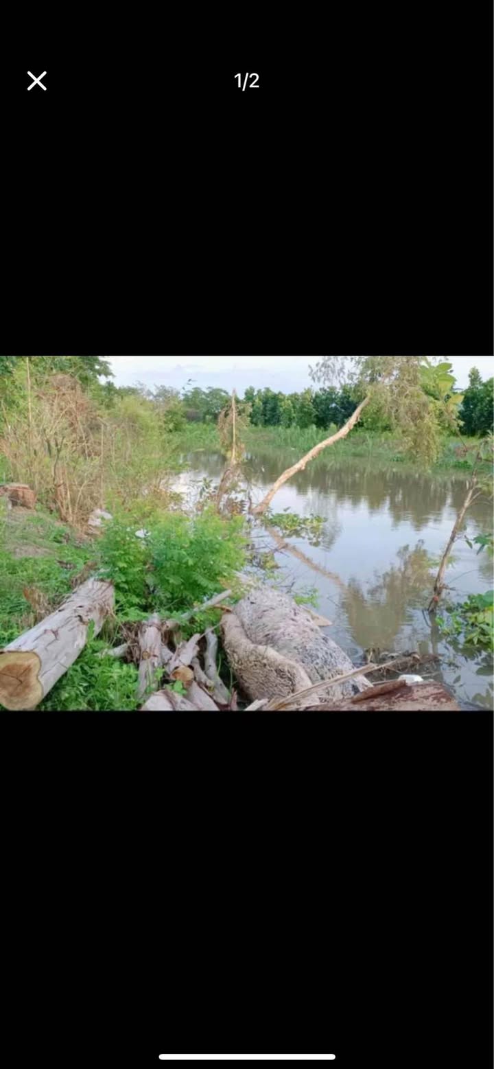 Đất nông nghiệp Tân Hội Trung 3146m² giá 786.5 triệu - Đầu tư sinh lợi ngay!