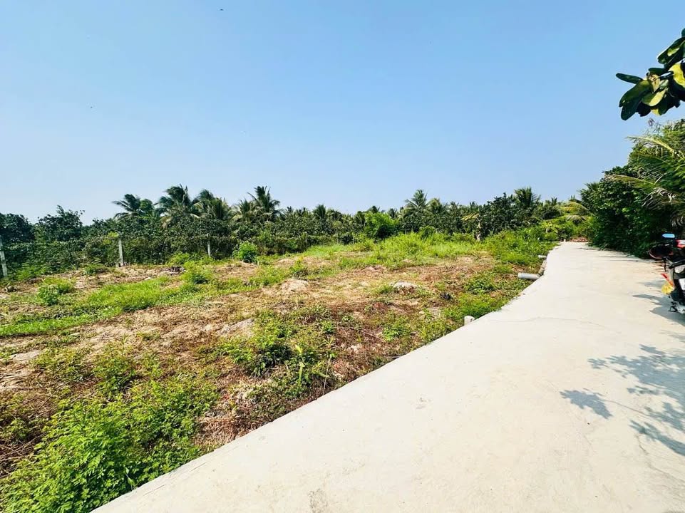 Đất thổ cư Song Bình 123m² giá 379 triệu - Cơ hội đầu tư tốt!