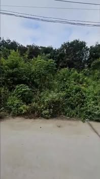 Đất nền Tân Định Bắc Tân Uyên 180m² giá 1.25 tỷ - Mặt tiền đường 7m thuận lợi!